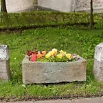 Lindenhof דירה