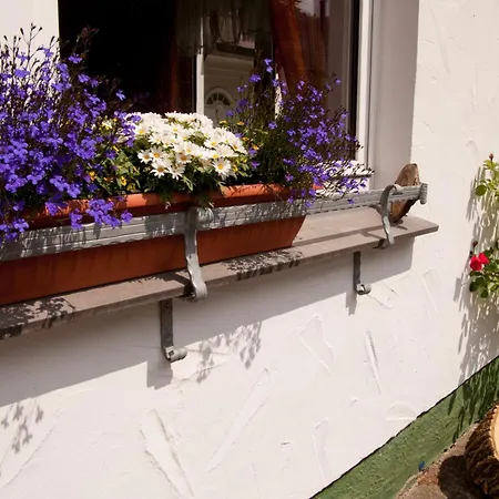 Lindenhof 公寓 维林根