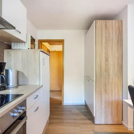 Lindenhof 公寓 维林根