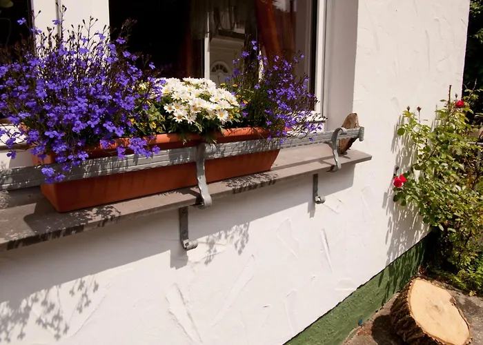 Lindenhof 公寓 维林根