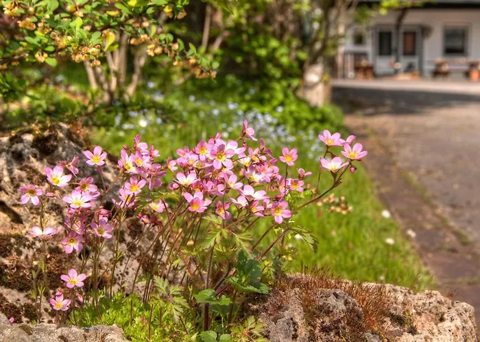 公寓 Lindenhof 维林根