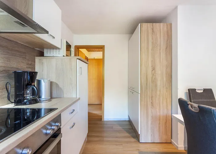 Lindenhof 公寓 维林根